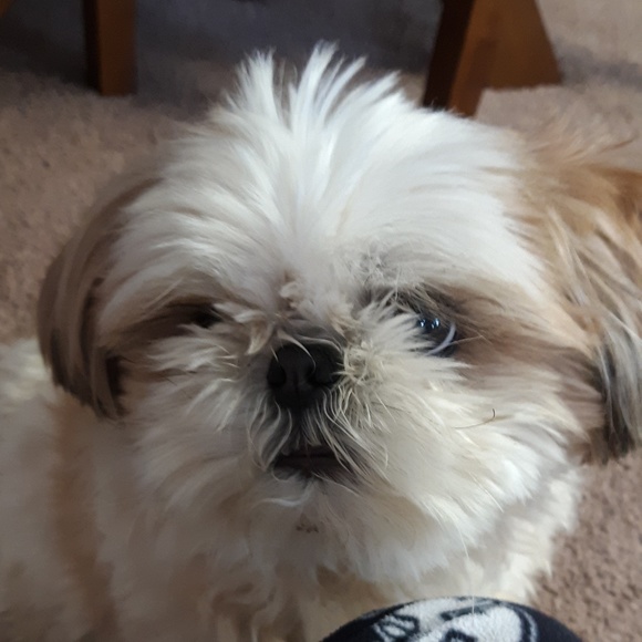 Random clothing in new or slightly used condition - Picture 6 of 10